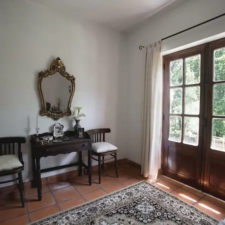 Quinta Do Vale Grande Villa Albergaria-a-Velha Buitenkant foto