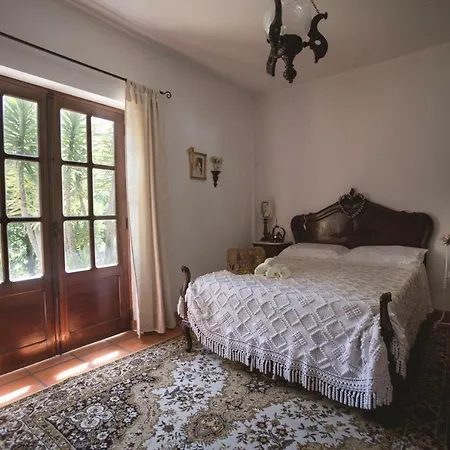 Quinta Do Vale Grande Villa Albergaria-a-Velha Buitenkant foto