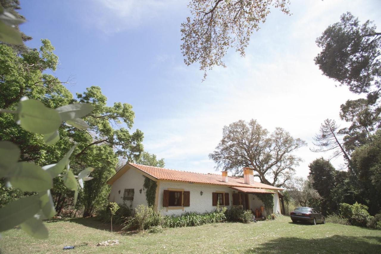 Holiday home Quinta Do Vale Grande Albergaria-a-Velha