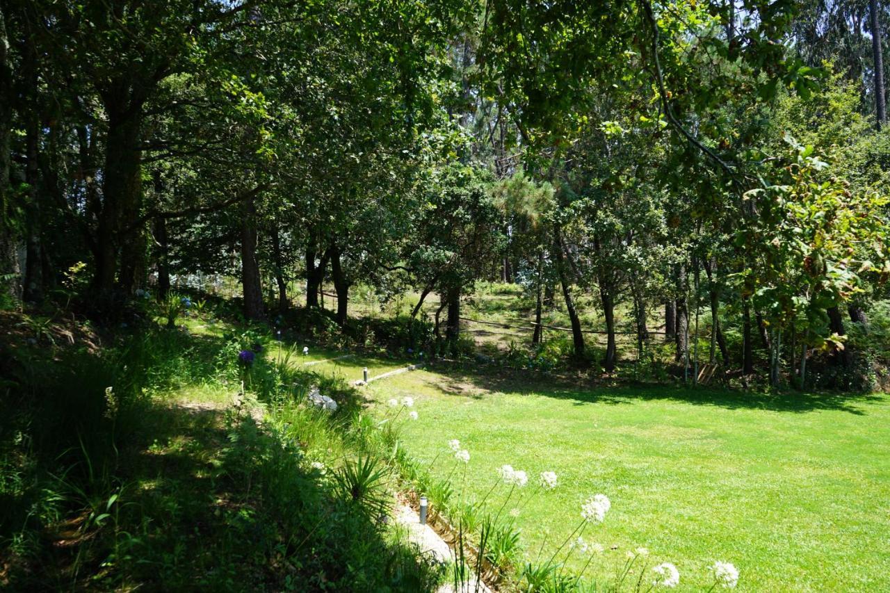 Quinta Do Vale Grande Albergaria-a-Velha